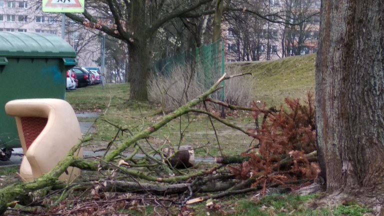 Aplikace čistáOVA už rok pomáhá s údržbou města