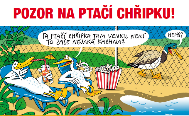 Chovatelé mohou svou pozorností předejít šíření ptačí chřipky
