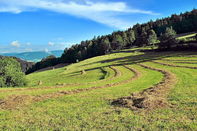 Děti z Ostravy vyrazí opět do hor za příspěvky z fondu