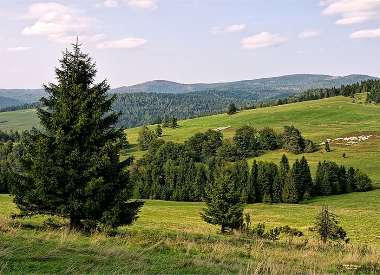 Díky fondu jezdí ostravské děti za čistým vzduchem