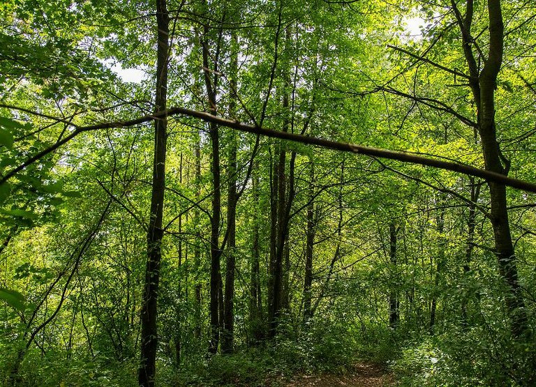 Dotace na estetizaci veřejného prostoru 