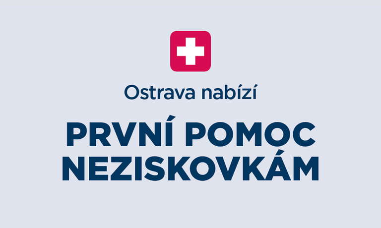 Finanční pomoc města pro další neziskové organizace