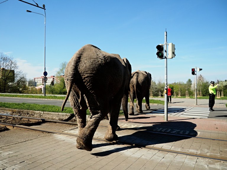 Fotosoutěž Aktivu BESIP zná vítěze