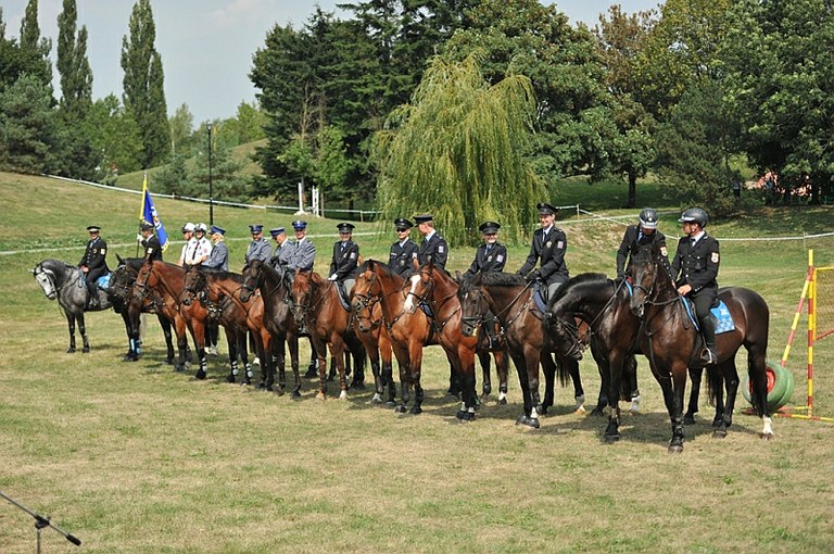 Jízdní policisté ze tří zemí závodili v Komenského sadech