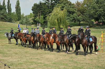 Jízdní policisté ze tří zemí závodili v Komenského sadech