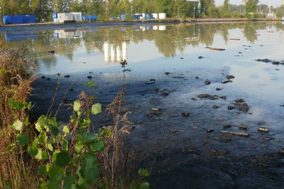 Kraj, město a obvod žádají vládu o rychlé dokončení sanace lagun 
