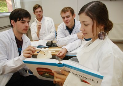 Medici se zapojí do Evropského města sportu