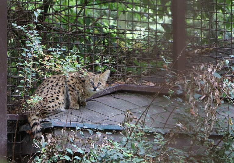 Novinky, zábava i poučení v ostravské Zoo