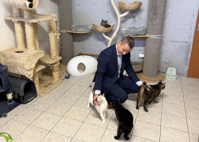 Ostrava podpoří útulek pro kočky i další zelený projekt