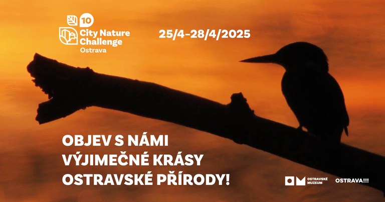 Ostrava slaví úspěch v globálním projektu City Nature Challenge