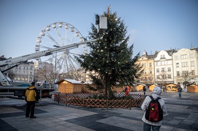 Ostravské Vánoce odstartují koncem listopadu. Veřejnost může darovat vánoční strom