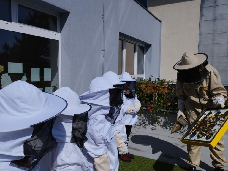 Ostravské děti objevují kouzlo včelího světa