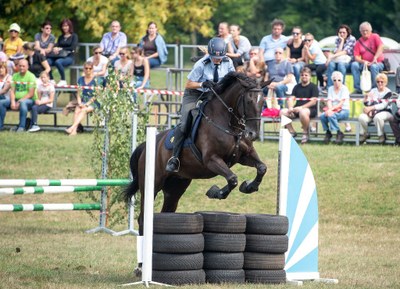 Policejní koně budou soutěžit nad překážkami
