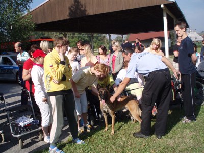 Policie v ostravském Čtyřlístku