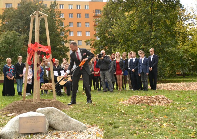 Před gymnáziem byl zasazen strom Olgy Havlové