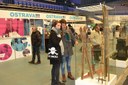 Výstava historických lyží, saní a dalších sportovních potřeb. . 
