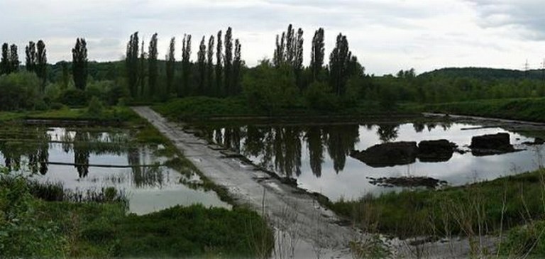 Projekt regenerace brownfieldu Přívoz – Stará ČOV