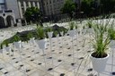 Prokešovo náměstí zdobí 790 květináčů.