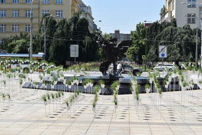Prokešovo náměstí zdobí 790 květináčů.