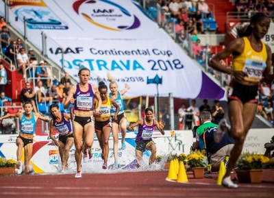 Skvělé publikum vybičovalo atlety k špičkovým výkonům