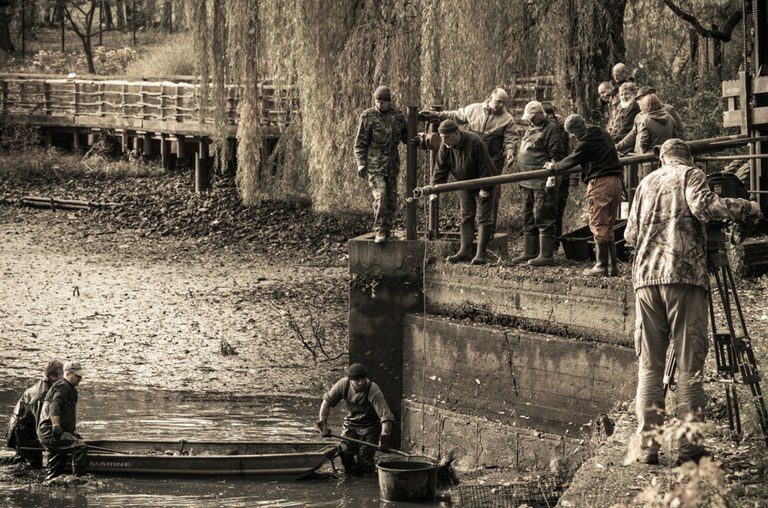 Zoo Ostrava zve na sobotní výlov rybníka