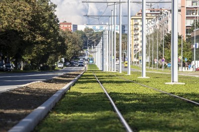 V „modrozelené kuchařce“ naleznou zájemci informace, jak město přiblížit přírodě a snížit dopady klimatických změn