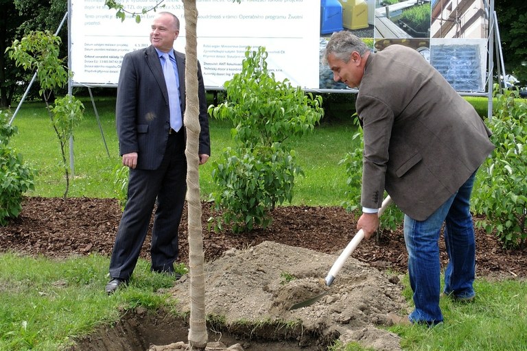 V Ostravě budou vysázeny tisíce nových stromů