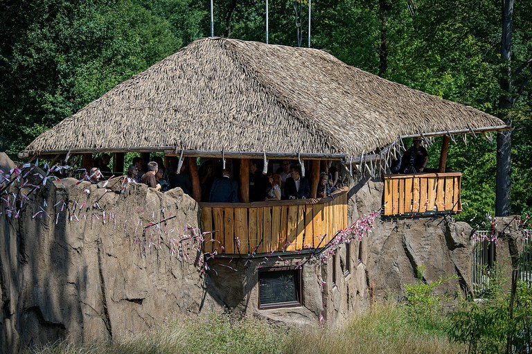 V ostravské ZOO jsou dvě nové stavby s atraktivními výběhy nejen pro makaky a gibony