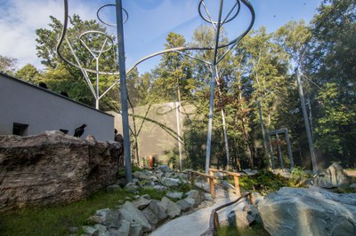 V ostravské ZOO otevřeli největší průchozí voliéru