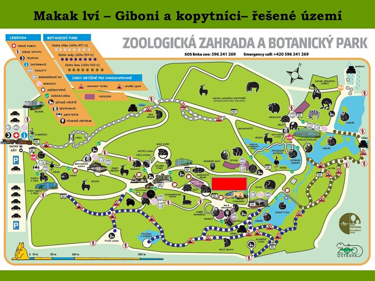 Mapka