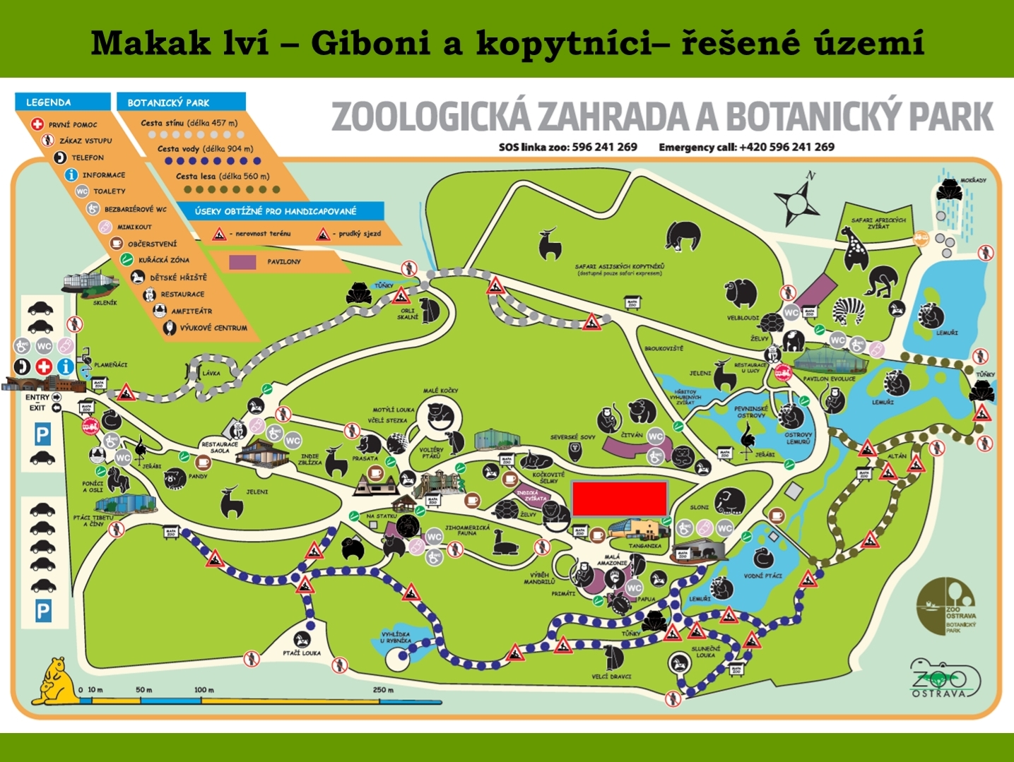 Mapka