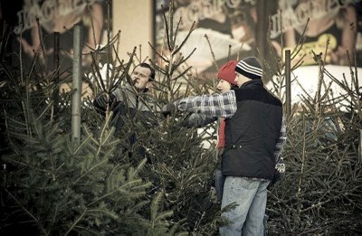 Vánoční stromky patří ke kontejnerům a do sběrných dvorů