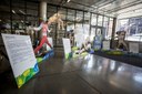 Expozice Síň slávy olympioniků Moravskoslezského kraje.