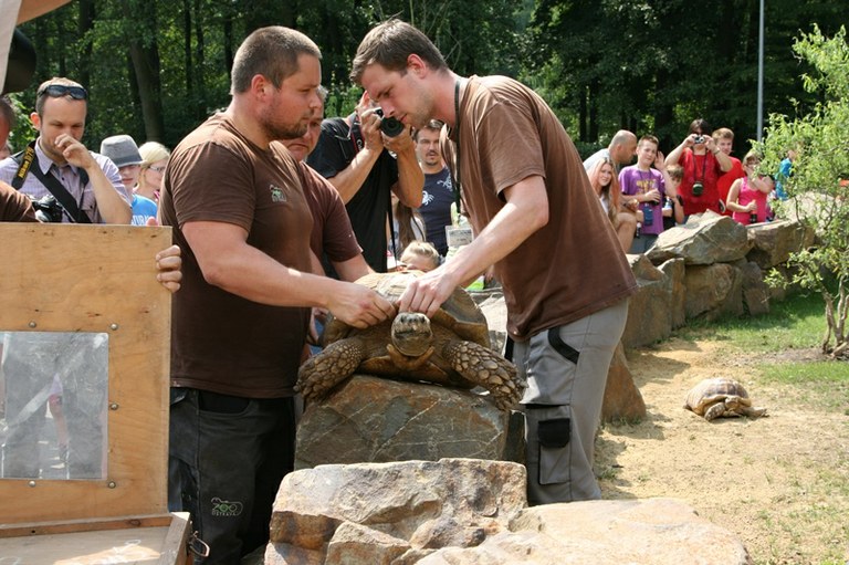 Zoo má expozici pro želvy ostruhaté