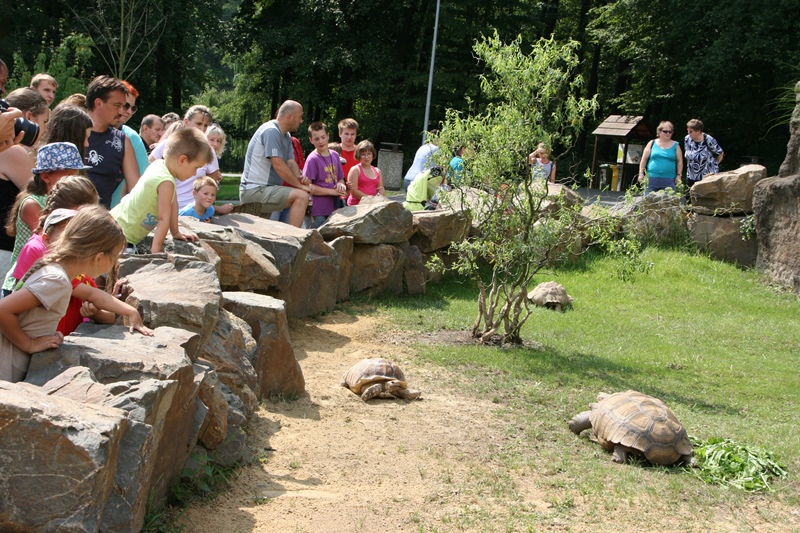 Zoo má expozici pro želvy ostruhaté — Ostrava