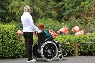 Zoo Ostrava rozšířila služby pro návštěvníky se sníženou pohyblivostí