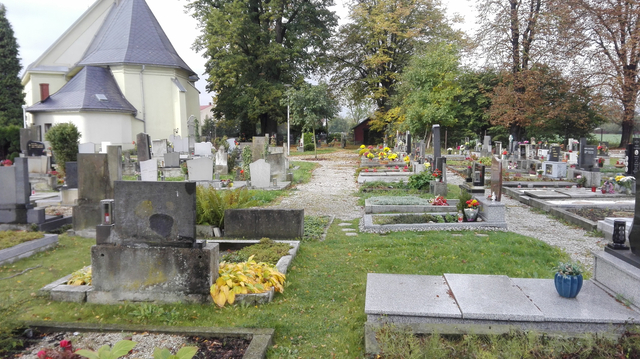 pěší komunikace