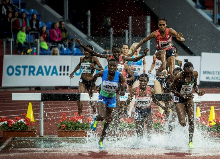 Uvítáme nejlepší atlety světa 