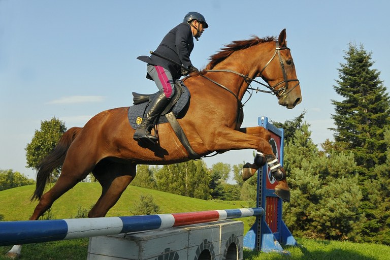 Ostravian Mounted Police collected medals