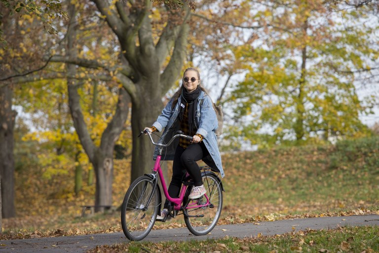 Shared bikes will be back next year