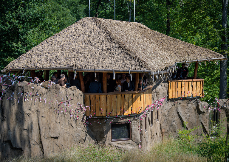 The latest project at Ostrava Zoo is now complete, with new enclosures for macaques and gibbons