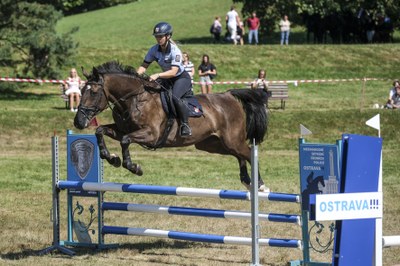The participants demonstrated perfect harmony between rider and horse
