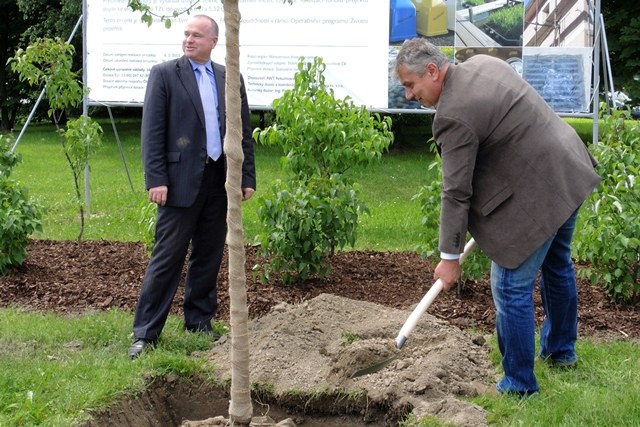 Thousands of new trees to be planted in Ostrava